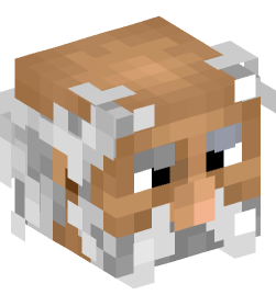 Minecraft head — People