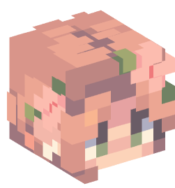 Minecraft head — People