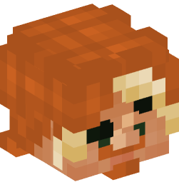 Minecraft head — People