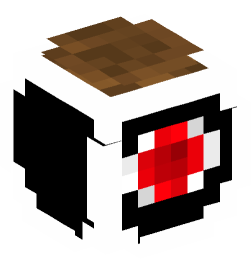 Minecraft head — Decor