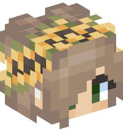 Minecraft head — People