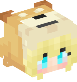 Minecraft head — People