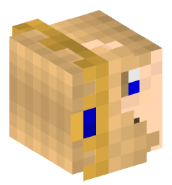 Minecraft head — People