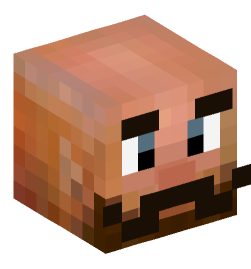 Minecraft head — People