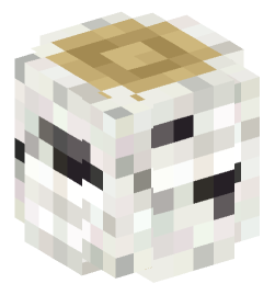 Minecraft head — Blocks