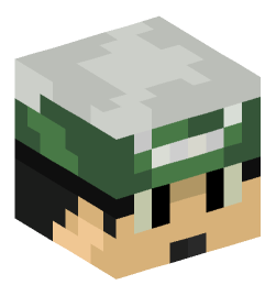 Minecraft head — People