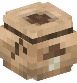 Minecraft head — Decor