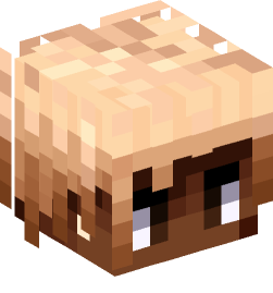 Minecraft head — People