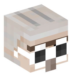 Minecraft head — Creatures