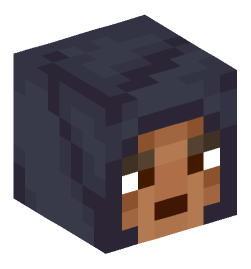 Minecraft head — People