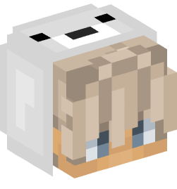 Minecraft head — People