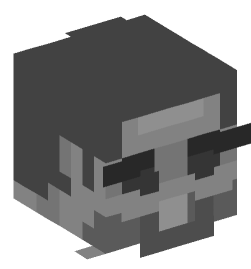 Minecraft head — Decor