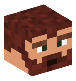 Minecraft head — People