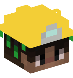 Minecraft head — People