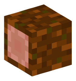 Minecraft head — Blocks