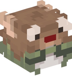 Minecraft head — People