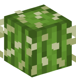 Minecraft head — Plants