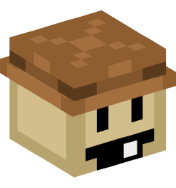 Minecraft head — People