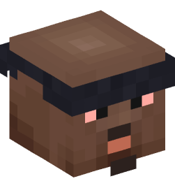 Minecraft head — People