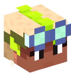 Minecraft head — People