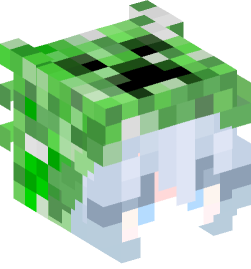 Minecraft head — People