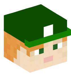 Minecraft head — People