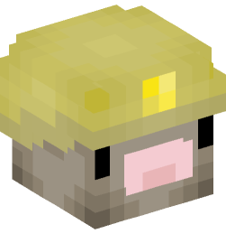 Minecraft head — Animals