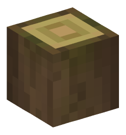 Minecraft head — Blocks