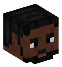 Minecraft head — People