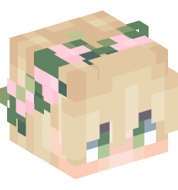 Minecraft head — People