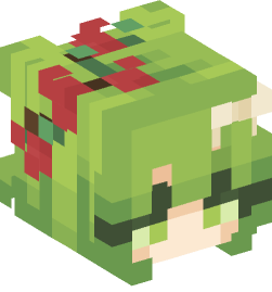 Minecraft head — People