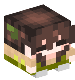 Minecraft head — Decor