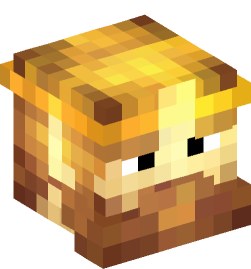 Minecraft head — People