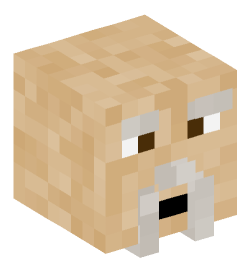 Minecraft head — People