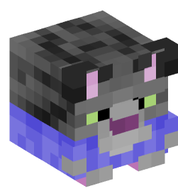 Minecraft head — Decor