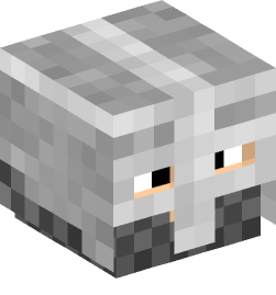 Minecraft head — People