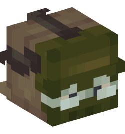 Minecraft head — People