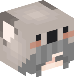 Minecraft head — People