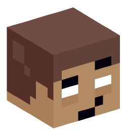 Minecraft head — Miscellaneous