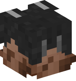 Minecraft head — Decor