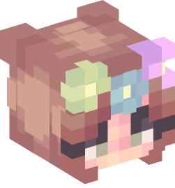 Minecraft head — People