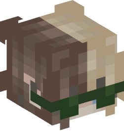 Minecraft head — People