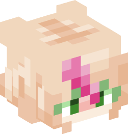 Minecraft head — People