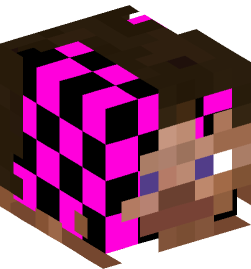 Minecraft head — People