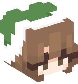 Minecraft head — People