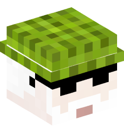 Minecraft head — People