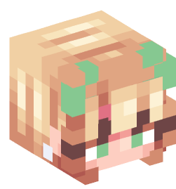 Minecraft head — People