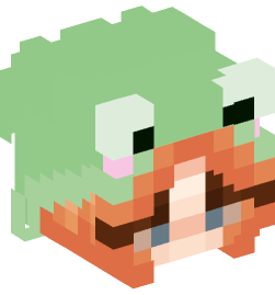 Minecraft head — People