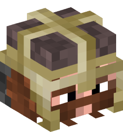 Minecraft head — People