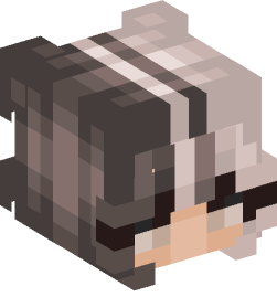 Minecraft head — People